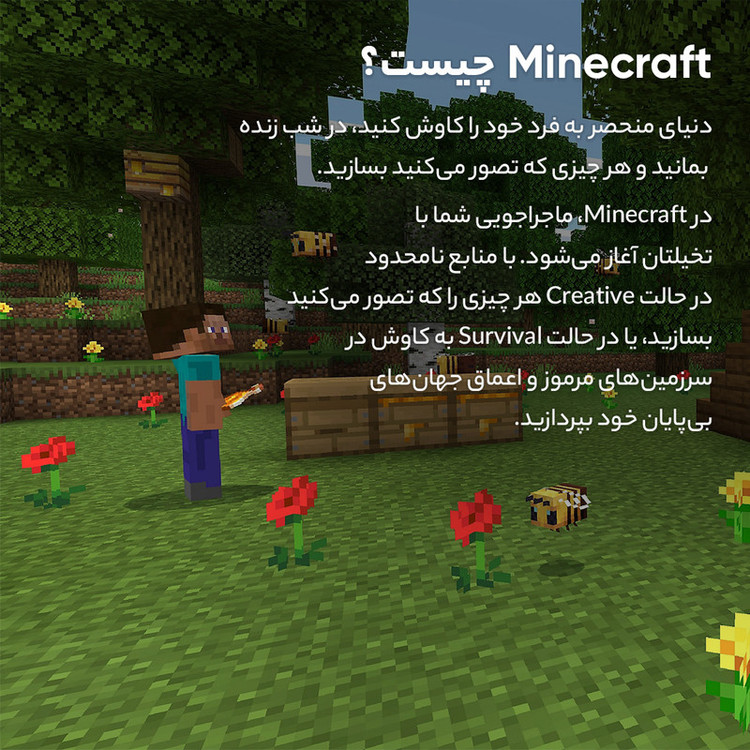 بازی Minecraft مخصوص PS4